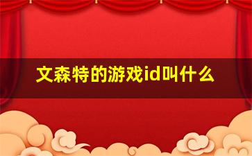 文森特的游戏id叫什么