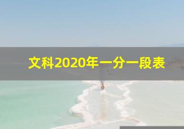 文科2020年一分一段表