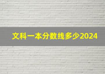 文科一本分数线多少2024