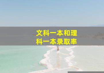 文科一本和理科一本录取率