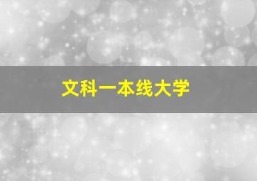 文科一本线大学