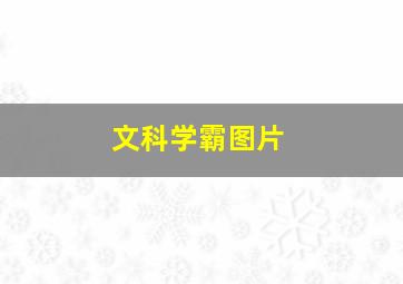 文科学霸图片