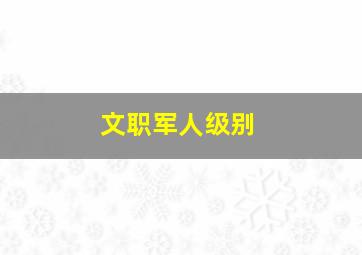 文职军人级别