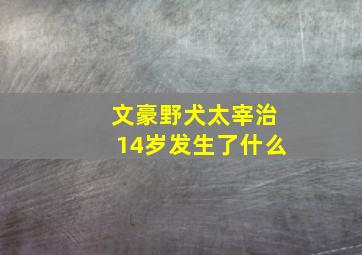 文豪野犬太宰治14岁发生了什么