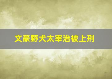 文豪野犬太宰治被上刑