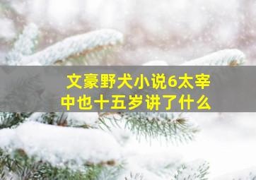 文豪野犬小说6太宰中也十五岁讲了什么