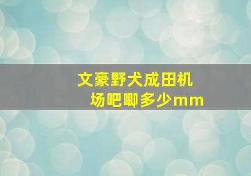 文豪野犬成田机场吧唧多少mm