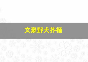 文豪野犬芥樋