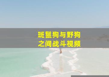 斑鬣狗与野狗之间战斗视频