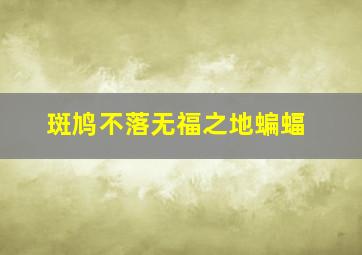 斑鸠不落无福之地蝙蝠