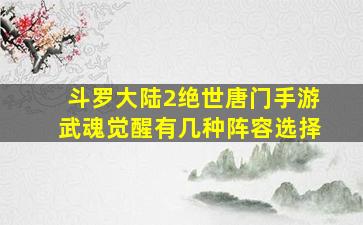 斗罗大陆2绝世唐门手游武魂觉醒有几种阵容选择