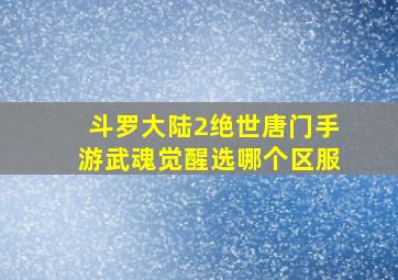 斗罗大陆2绝世唐门手游武魂觉醒选哪个区服