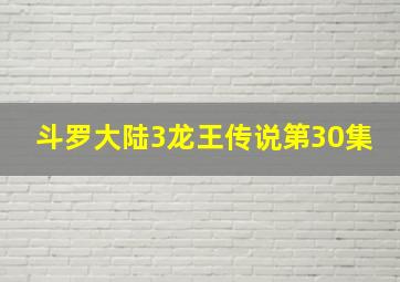 斗罗大陆3龙王传说第30集