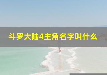 斗罗大陆4主角名字叫什么