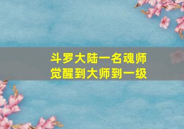 斗罗大陆一名魂师觉醒到大师到一级