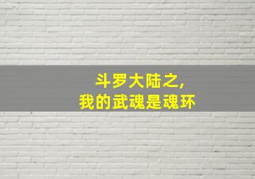 斗罗大陆之,我的武魂是魂环