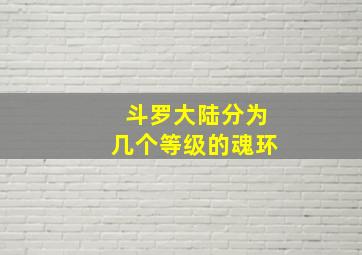 斗罗大陆分为几个等级的魂环