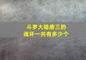 斗罗大陆唐三的魂环一共有多少个