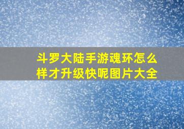 斗罗大陆手游魂环怎么样才升级快呢图片大全