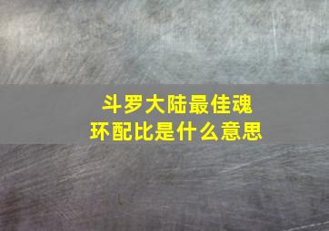 斗罗大陆最佳魂环配比是什么意思