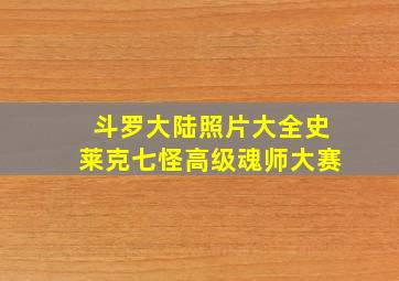 斗罗大陆照片大全史莱克七怪高级魂师大赛