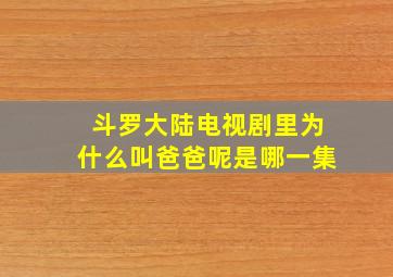 斗罗大陆电视剧里为什么叫爸爸呢是哪一集