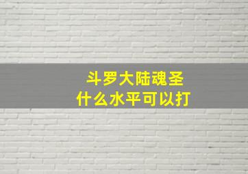 斗罗大陆魂圣什么水平可以打