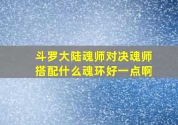 斗罗大陆魂师对决魂师搭配什么魂环好一点啊