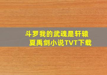 斗罗我的武魂是轩辕夏禹剑小说TVT下载