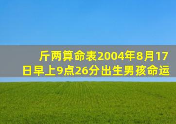 斤两算命表2004年8月17日早上9点26分出生男孩命运