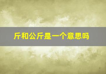 斤和公斤是一个意思吗