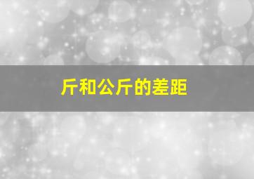 斤和公斤的差距