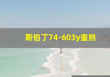 斯伯丁74-603y鉴别