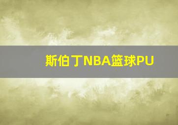 斯伯丁NBA篮球PU