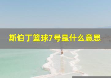 斯伯丁篮球7号是什么意思