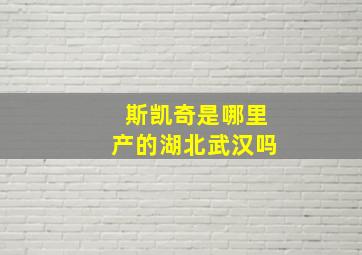 斯凯奇是哪里产的湖北武汉吗