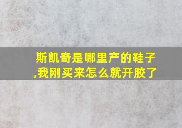 斯凯奇是哪里产的鞋子,我刚买来怎么就开胶了