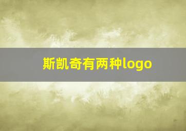 斯凯奇有两种logo