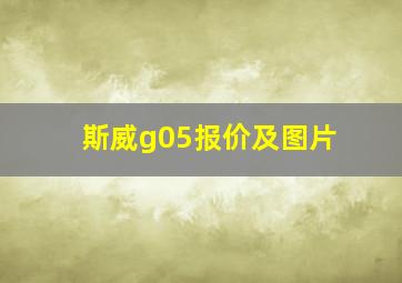 斯威g05报价及图片