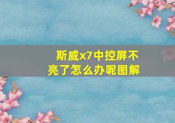 斯威x7中控屏不亮了怎么办呢图解