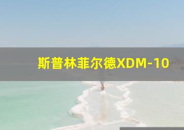 斯普林菲尔德XDM-10