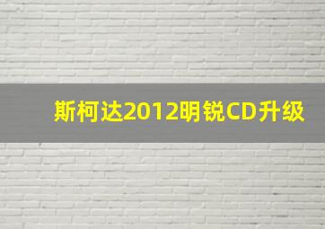 斯柯达2012明锐CD升级