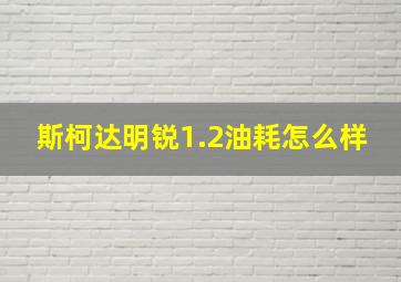 斯柯达明锐1.2油耗怎么样