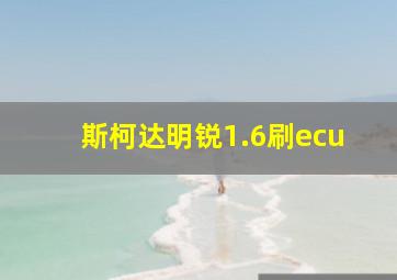 斯柯达明锐1.6刷ecu