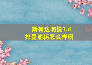 斯柯达明锐1.6排量油耗怎么样啊