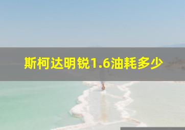 斯柯达明锐1.6油耗多少