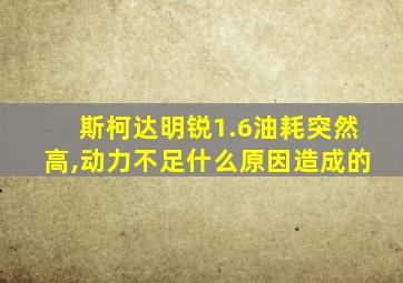 斯柯达明锐1.6油耗突然高,动力不足什么原因造成的