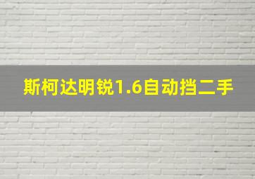 斯柯达明锐1.6自动挡二手