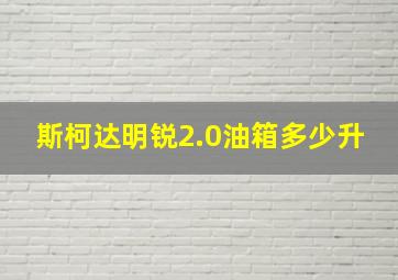 斯柯达明锐2.0油箱多少升