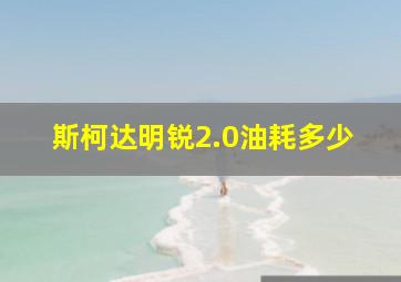 斯柯达明锐2.0油耗多少